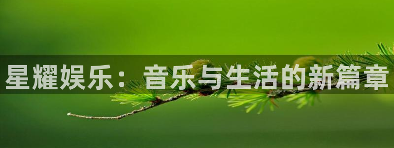 三牛娱乐：星耀娱乐：音乐与生活的新篇章