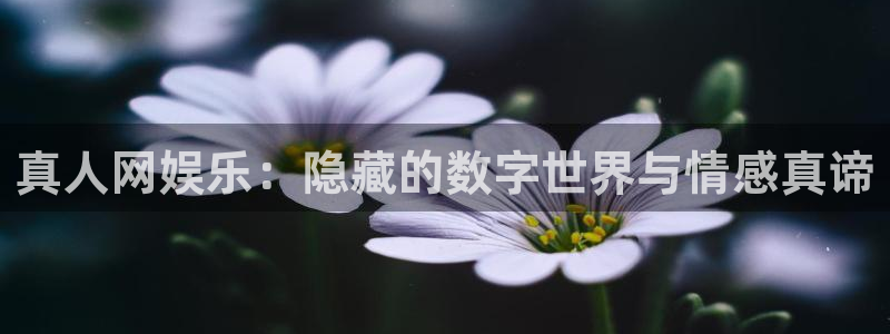 三牛娱乐：真人网娱乐：隐藏的数字世界与情感真谛