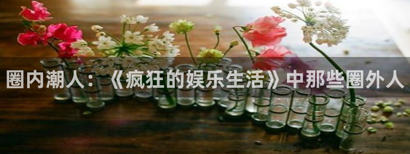 三牛娱乐：圈内潮人：《疯狂的娱乐生活》中那些圈外人