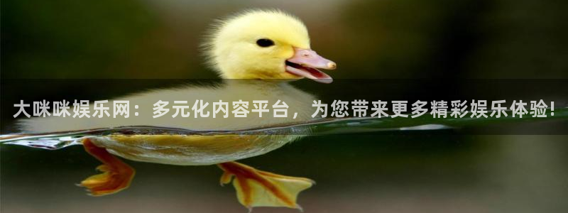 三牛娱乐：大咪咪娱乐网：多元化内容平台，为您带来更多精彩娱乐体验!