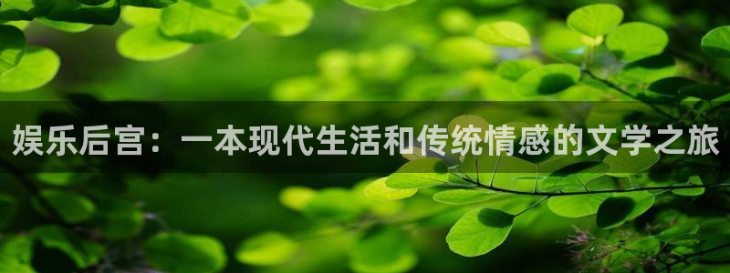 三牛娱乐：娱乐后宫：一本现代生活和传统情感的文学之旅